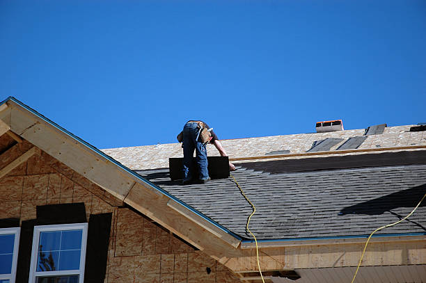 Best Roof Moss and Algae Removal  in Brandermill, VA