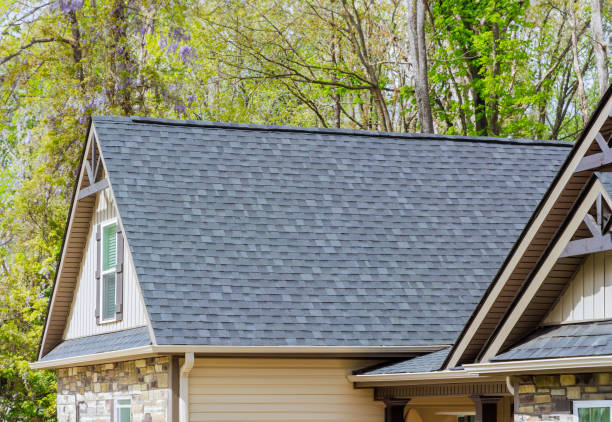 Best Skylights  in Brandermill, VA